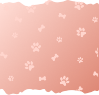 category